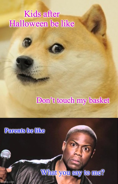  Kids after Halloween be like; Don’t touch my basket; Parents be like; What you say to me? | image tagged in memes,doge,kevin heart idiot | made w/ Imgflip meme maker