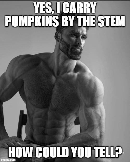 How could you tell | YES, I CARRY PUMPKINS BY THE STEM; HOW COULD YOU TELL? | image tagged in how could you tell | made w/ Imgflip meme maker