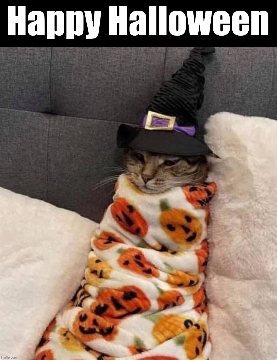 Happy Halloween | image tagged in cats | made w/ Imgflip meme maker