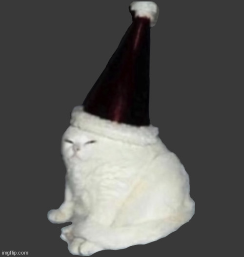 Party Hat Cat | image tagged in party hat cat | made w/ Imgflip meme maker