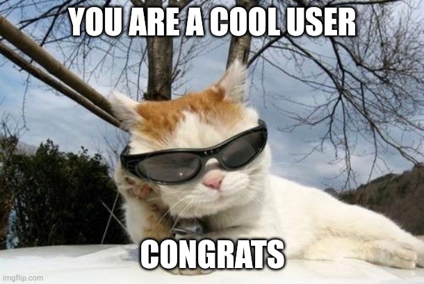 Cool Sunglasses Cat | YOU ARE A COOL USER CONGRATS | image tagged in cool sunglasses cat | made w/ Imgflip meme maker