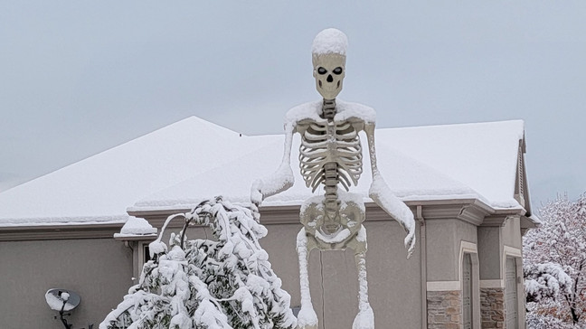 Snowy Skeleton Blank Meme Template