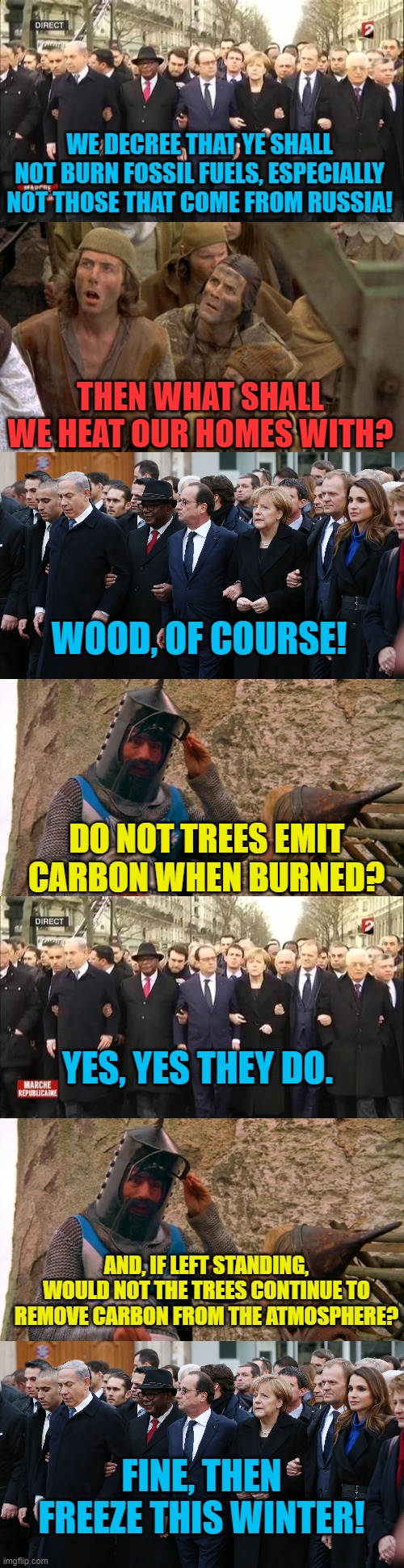 WE DECREE THAT YE SHALL NOT BURN FOSSIL FUELS, ESPECIALLY NOT THOSE THAT COME FROM RUSSIA! THEN WHAT SHALL WE HEAT OUR HOMES WITH? WOOD, OF  | image tagged in eu leaders march,monty python peasants,eu leaders,burn the witch | made w/ Imgflip meme maker