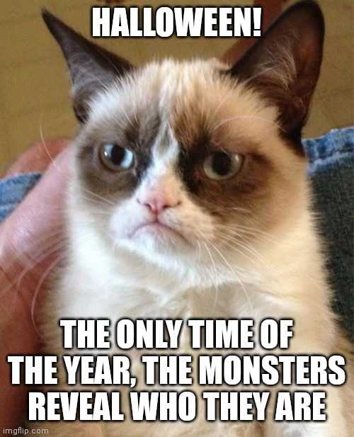 It is true (๑>ᴗ<๑) | HALLOWEEN! THE ONLY TIME OF THE YEAR, THE MONSTERS REVEAL WHO THEY ARE | image tagged in memes,grumpy cat | made w/ Imgflip meme maker