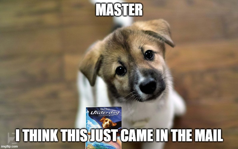 master | MASTER; I THINK THIS JUST CAME IN THE MAIL | image tagged in cute dog,disney,dogs,movies | made w/ Imgflip meme maker