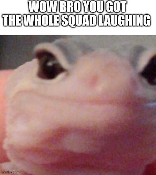 Funny meme | WOW BRO YOU GOT THE WHOLE SQUAD LAUGHING | image tagged in wow bro you got the whole squad laughing | made w/ Imgflip meme maker