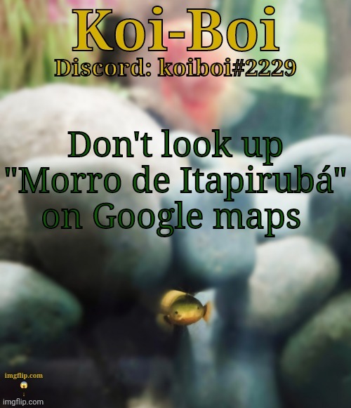 Don't look up "Morro de Itapirubá" on Google maps | image tagged in rope fish template | made w/ Imgflip meme maker