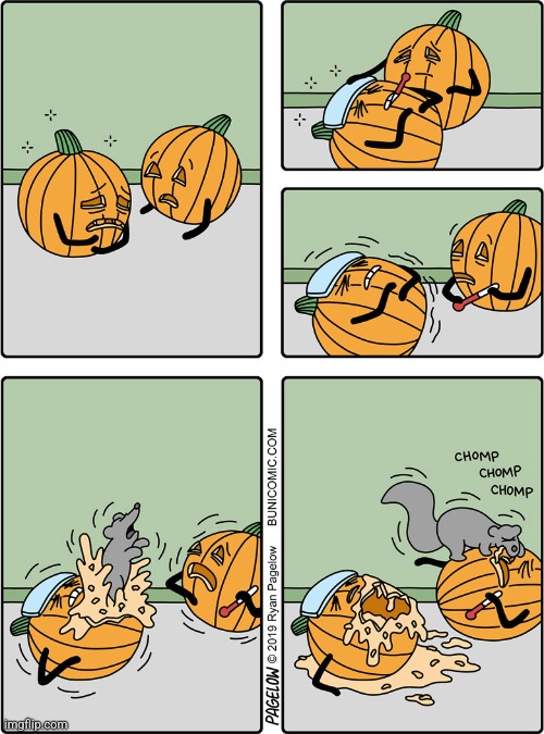 ATTACK OF THE SQUIRREL | image tagged in pumpkin,squirrel,jack-o-lanterns,spooktober,comics/cartoons | made w/ Imgflip meme maker