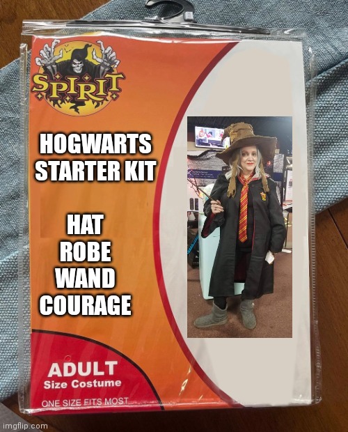 Spirit Halloween | HOGWARTS STARTER KIT; HAT
ROBE
WAND
COURAGE | image tagged in spirit halloween | made w/ Imgflip meme maker