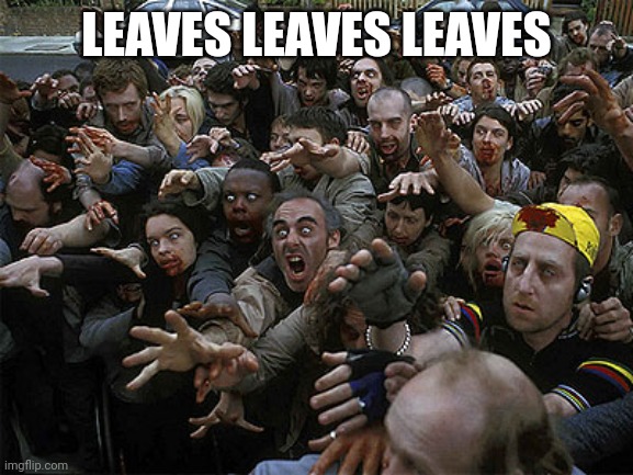 Zombies Approaching | LEAVES LEAVES LEAVES | image tagged in zombies approaching | made w/ Imgflip meme maker