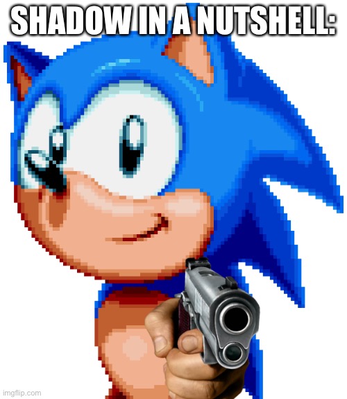 sonic with a gun | SHADOW IN A NUTSHELL: | image tagged in sonic with a gun,sonic the hedgehog,shadow the hedgehog | made w/ Imgflip meme maker