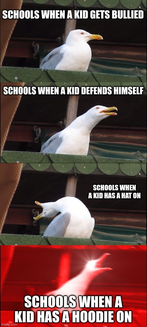 Inhaling Seagull | SCHOOLS WHEN A KID GETS BULLIED; SCHOOLS WHEN A KID DEFENDS HIMSELF; SCHOOLS WHEN A KID HAS A HAT ON; SCHOOLS WHEN A KID HAS A HOODIE ON | image tagged in memes,inhaling seagull | made w/ Imgflip meme maker