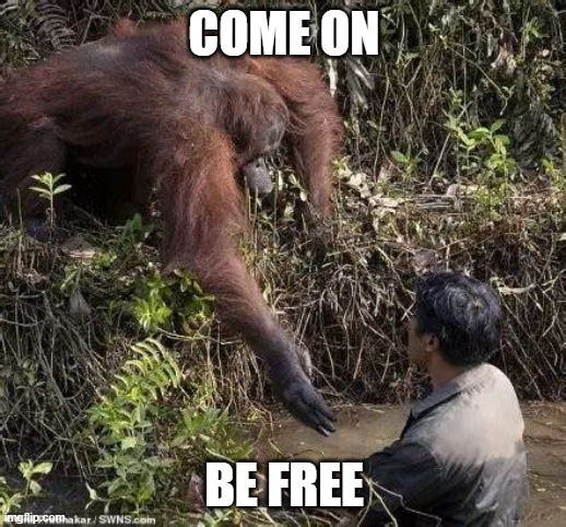 COME ON BE FREE | made w/ Imgflip meme maker