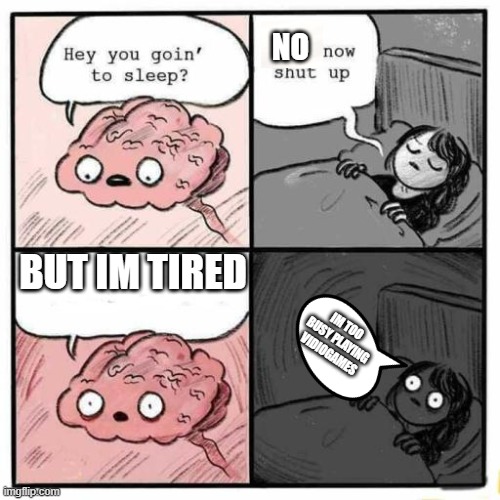 Hey you going to sleep? | NO; BUT IM TIRED; IM TOO BUSY PLAYING VIDIOGAMES | image tagged in hey you going to sleep | made w/ Imgflip meme maker