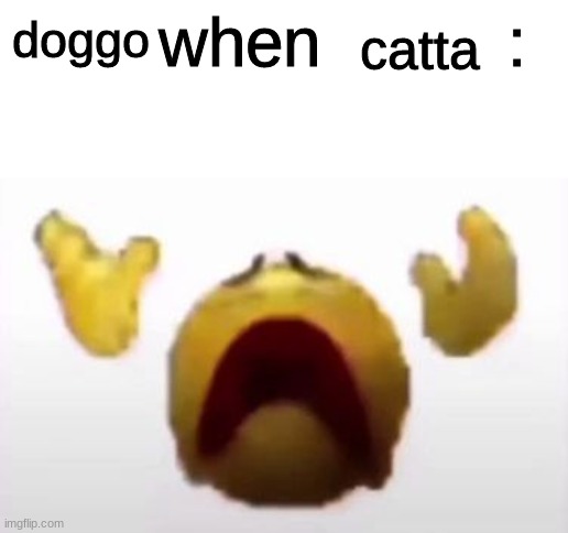 User When Offended: | doggo catta | image tagged in user when offended | made w/ Imgflip meme maker