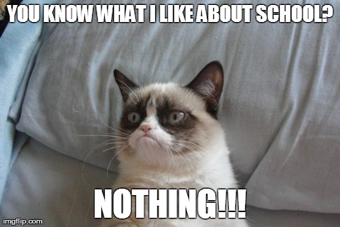 What i like about school | YOU KNOW WHAT I LIKE ABOUT SCHOOL? NOTHING!!! | image tagged in memes,grumpy cat | made w/ Imgflip meme maker