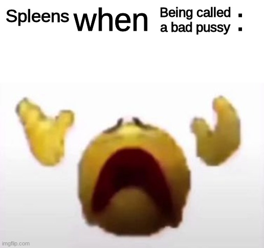 User When Offended: | Spleens Being called
a bad pussy | image tagged in user when offended | made w/ Imgflip meme maker