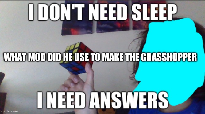 I don't need sleep i need answers | WHAT MOD DID HE USE TO MAKE THE GRASSHOPPER | image tagged in i don't need sleep i need answers | made w/ Imgflip meme maker