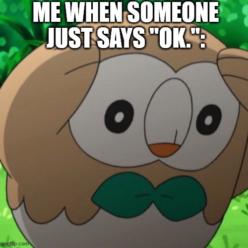 do they not want to be friends anymore?? are they mad?? | ME WHEN SOMEONE JUST SAYS "OK.": | image tagged in rowlet meme template | made w/ Imgflip meme maker