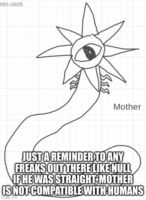 Mother | JUST A REMINDER TO ANY FREAKS OUT THERE LIKE NULL IF HE WAS STRAIGHT, MOTHER IS NOT COMPATIBLE WITH HUMANS | image tagged in mother | made w/ Imgflip meme maker