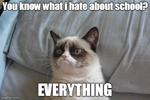 Grumpy Cat Bed | You know what i hate about school? EVERYTHING | image tagged in memes,grumpy cat | made w/ Imgflip meme maker