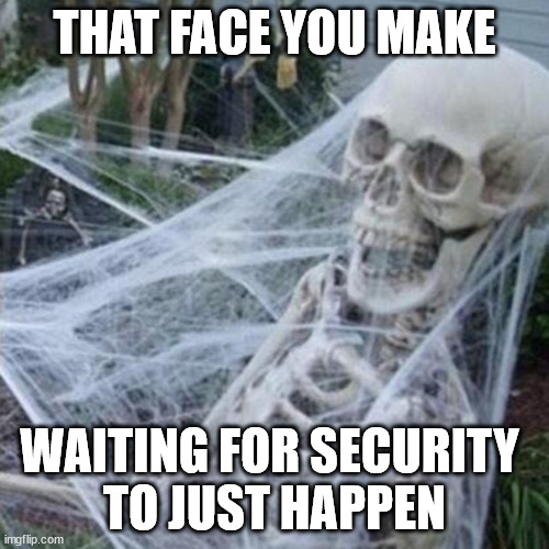 If you want something done right... | THAT FACE YOU MAKE; WAITING FOR SECURITY 
TO JUST HAPPEN | image tagged in skeleton with spider web | made w/ Imgflip meme maker