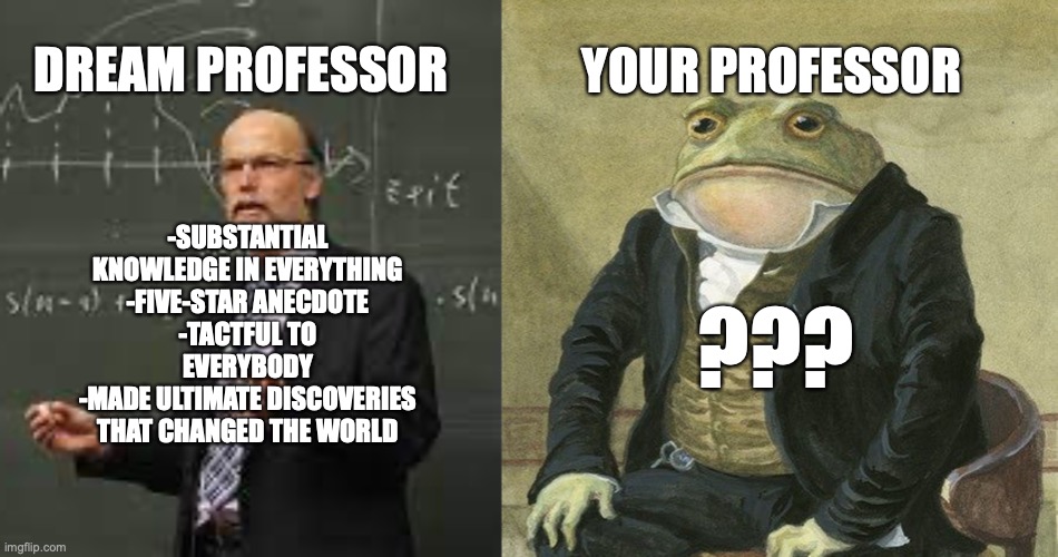 World of Professors | DREAM PROFESSOR; YOUR PROFESSOR; -SUBSTANTIAL KNOWLEDGE IN EVERYTHING
-FIVE-STAR ANECDOTE
-TACTFUL TO EVERYBODY
-MADE ULTIMATE DISCOVERIES THAT CHANGED THE WORLD; ??? | image tagged in gentlemen it is with great pleasure to inform you that | made w/ Imgflip meme maker