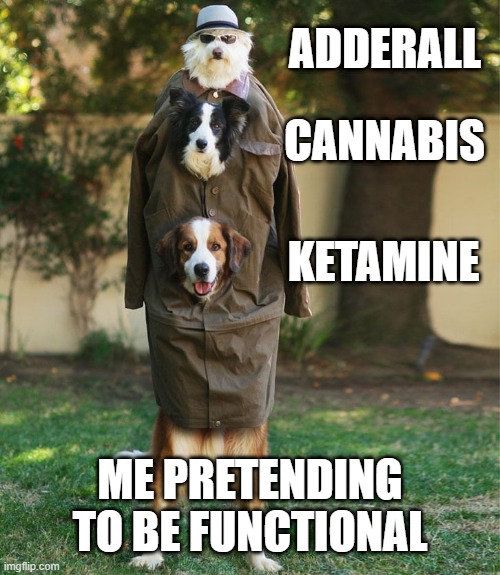 Me, pretending to be functional | ADDERALL; CANNABIS; KETAMINE; ME PRETENDING TO BE FUNCTIONAL | image tagged in three things in a trench coat pretending to be a human | made w/ Imgflip meme maker