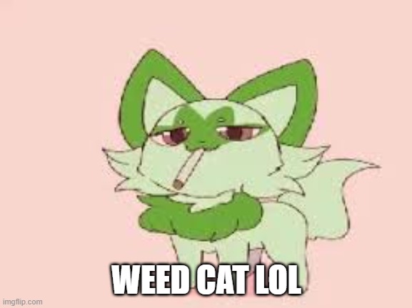 W E E D | WEED CAT LOL | made w/ Imgflip meme maker