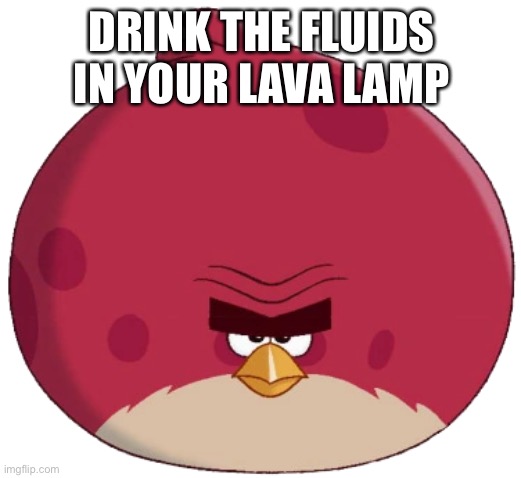 Listen to him | DRINK THE FLUIDS IN YOUR LAVA LAMP | image tagged in terence angry birds toons style | made w/ Imgflip meme maker