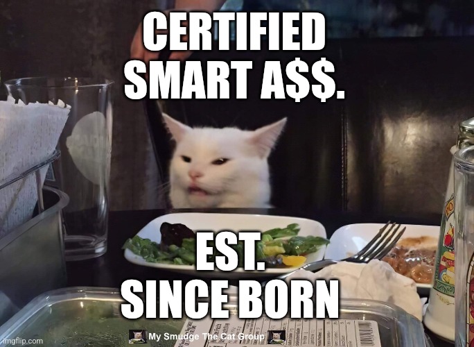 CERTIFIED SMART A$$. EST. SINCE BORN | image tagged in smudge the cat | made w/ Imgflip meme maker