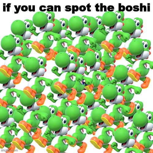 Blank Transparent Square Meme | if you can spot the boshi | image tagged in memes,blank transparent square | made w/ Imgflip meme maker