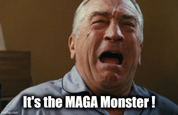 deniro crying | It's the MAGA Monster ! | image tagged in deniro crying | made w/ Imgflip meme maker