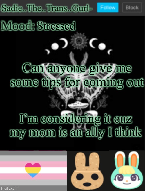 (Insert clever title here) | Stressed; Can anyone give me some tips for coming out; I’m considering it cuz my mom is an ally I think | image tagged in sadiesannouncement temp | made w/ Imgflip meme maker