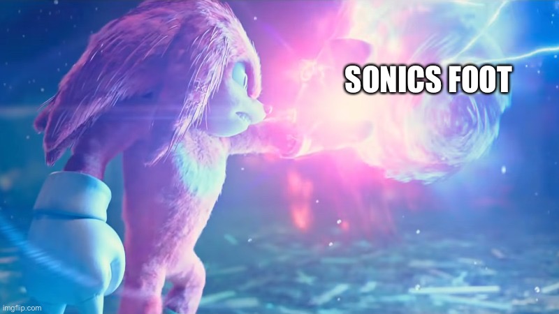 Knuckles Stops Sonic | SONICS FOOT | image tagged in knuckles stops sonic | made w/ Imgflip meme maker