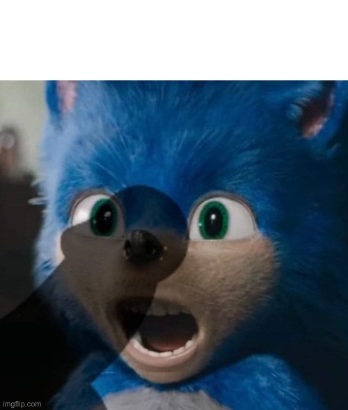 Sonic gets the D | image tagged in sonic gets the d | made w/ Imgflip meme maker