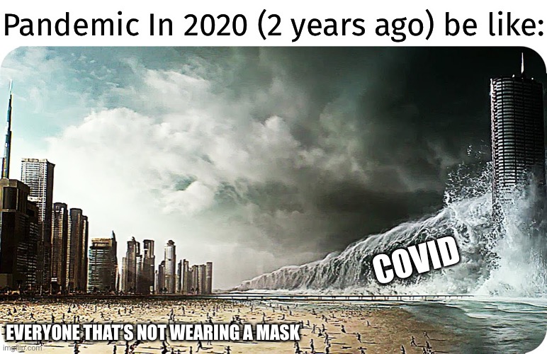 Do you all understand what I mean about this? | Pandemic In 2020 (2 years ago) be like:; COVID; EVERYONE THAT’S NOT WEARING A MASK | image tagged in tidal wave destroying beach or city,covid-19,memes,2020,pandemic,be like | made w/ Imgflip meme maker