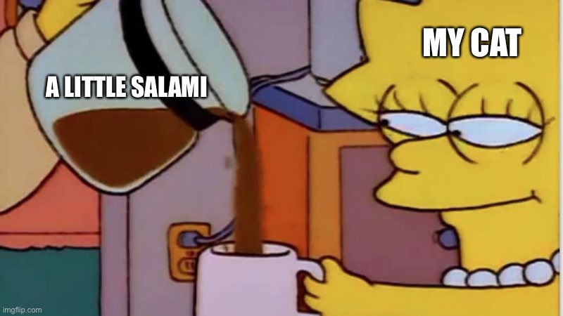 lisa coffee | MY CAT; A LITTLE SALAMI | image tagged in lisa coffee,cats | made w/ Imgflip meme maker