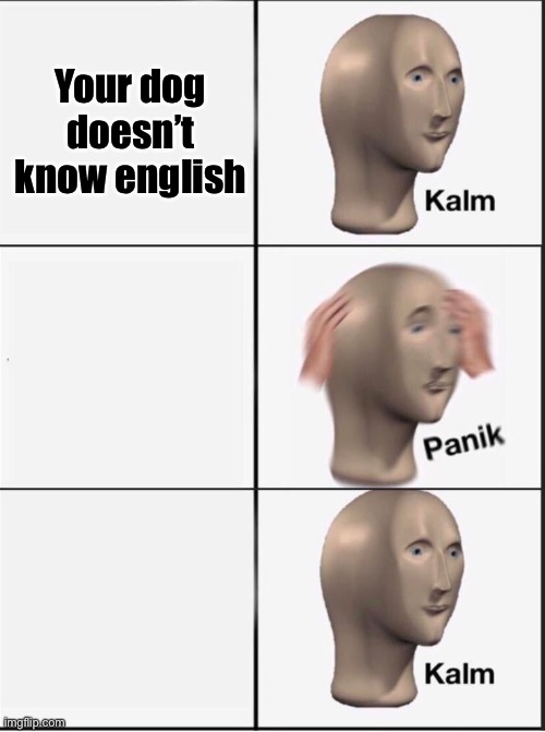 Reverse kalm panik | Your dog doesn’t know English | image tagged in reverse kalm panik | made w/ Imgflip meme maker