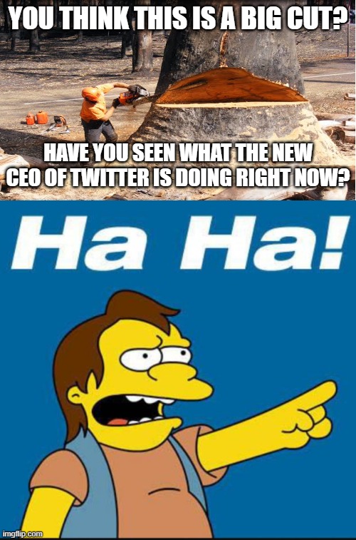 Long Live Elon Musk! | YOU THINK THIS IS A BIG CUT? HAVE YOU SEEN WHAT THE NEW CEO OF TWITTER IS DOING RIGHT NOW? | image tagged in elon musk,twitter,democrats,liberals,woke,social media | made w/ Imgflip meme maker