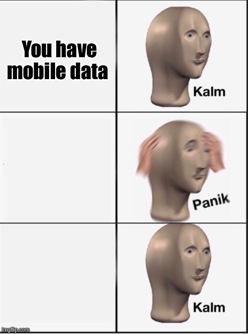 Reverse kalm panik | You have mobile data | image tagged in reverse kalm panik | made w/ Imgflip meme maker