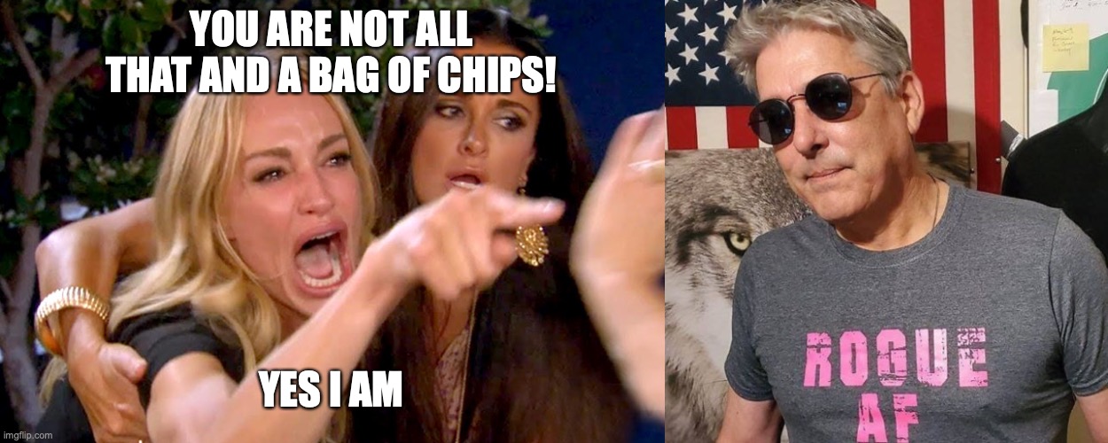 All that and a Bag of Chops | YOU ARE NOT ALL THAT AND A BAG OF CHIPS! YES I AM | image tagged in funny | made w/ Imgflip meme maker