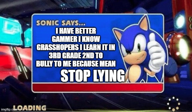 Sonic Says | I HAVE BETTER GAMMER I KNOW GRASSHOPERS I LEARN IT IN 3RD GRADE 2ND TO BULLY TO ME BECAUSE MEAN STOP LYING | image tagged in sonic says | made w/ Imgflip meme maker