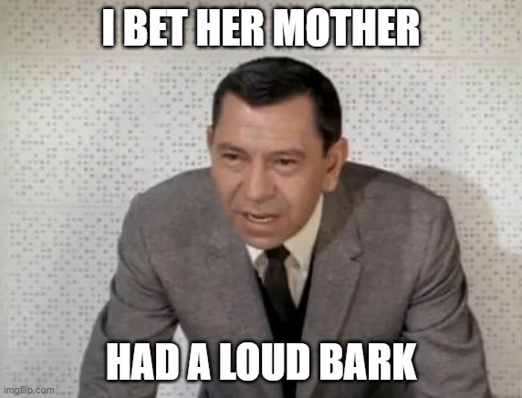 Joe Friday | I BET HER MOTHER HAD A LOUD BARK | image tagged in joe friday | made w/ Imgflip meme maker