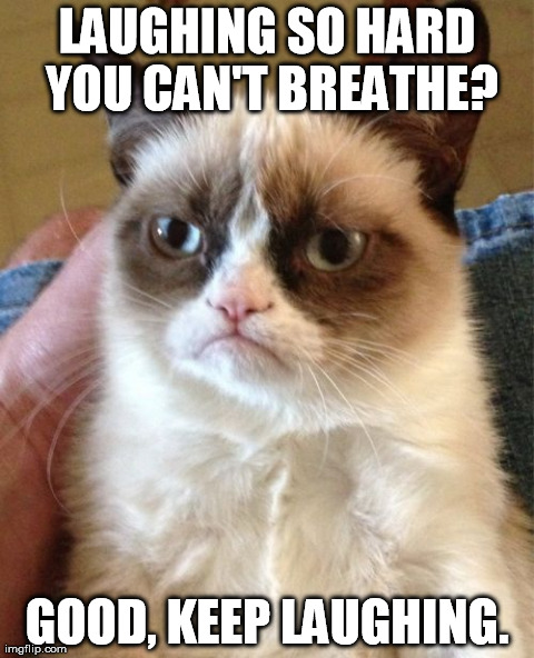 Grumpy Cat | LAUGHING SO HARD YOU CAN'T BREATHE? GOOD, KEEP LAUGHING. | image tagged in memes,grumpy cat | made w/ Imgflip meme maker