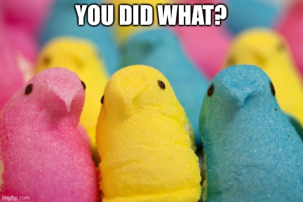 Peep see you | YOU DID WHAT? | image tagged in peeps,candy,halloween | made w/ Imgflip meme maker