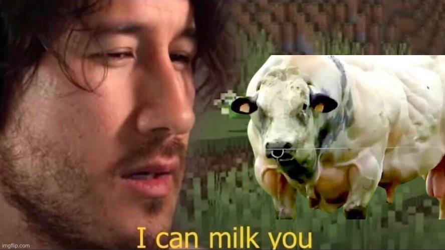 Good f’ing luck | image tagged in milking the cow | made w/ Imgflip meme maker