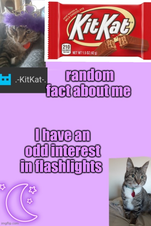 Kittys announcement template kitkat addition | random fact about me; I have аn odd interest in flashlights | image tagged in kittys announcement template kitkat addition | made w/ Imgflip meme maker