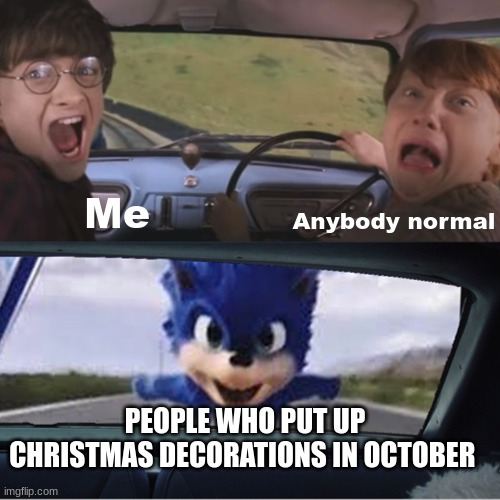 Seriously, why? | Me; Anybody normal; PEOPLE WHO PUT UP CHRISTMAS DECORATIONS IN OCTOBER | image tagged in sonic chasing harry and ron,lol so funny,memes,relatable memes,aaaaaaaaaaaaaaaaaaaaaaaaaaaaaah | made w/ Imgflip meme maker
