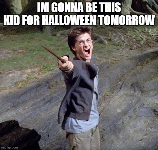 yep | IM GONNA BE THIS KID FOR HALLOWEEN TOMORROW | image tagged in harry potter | made w/ Imgflip meme maker